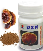 Reishi Mushroom prášok - ganoderma (70g)